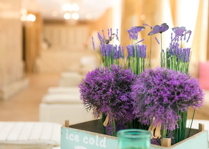 Dawn Park Complex 4*